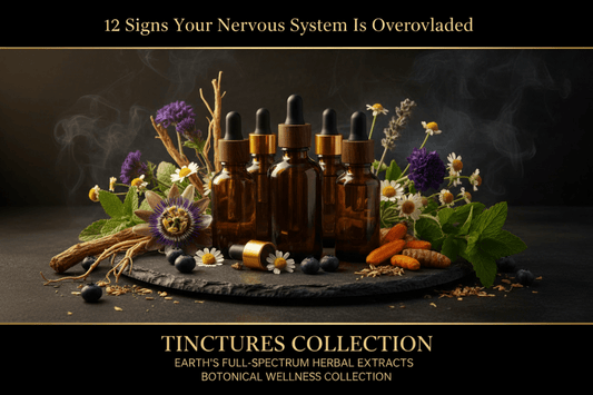12 Signs Your Nervous System Is Overloaded (And What to Do Naturally) - Futures ETC