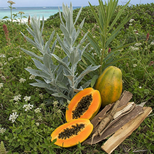 Discover the Benefits of DSK-W - Futures ETC