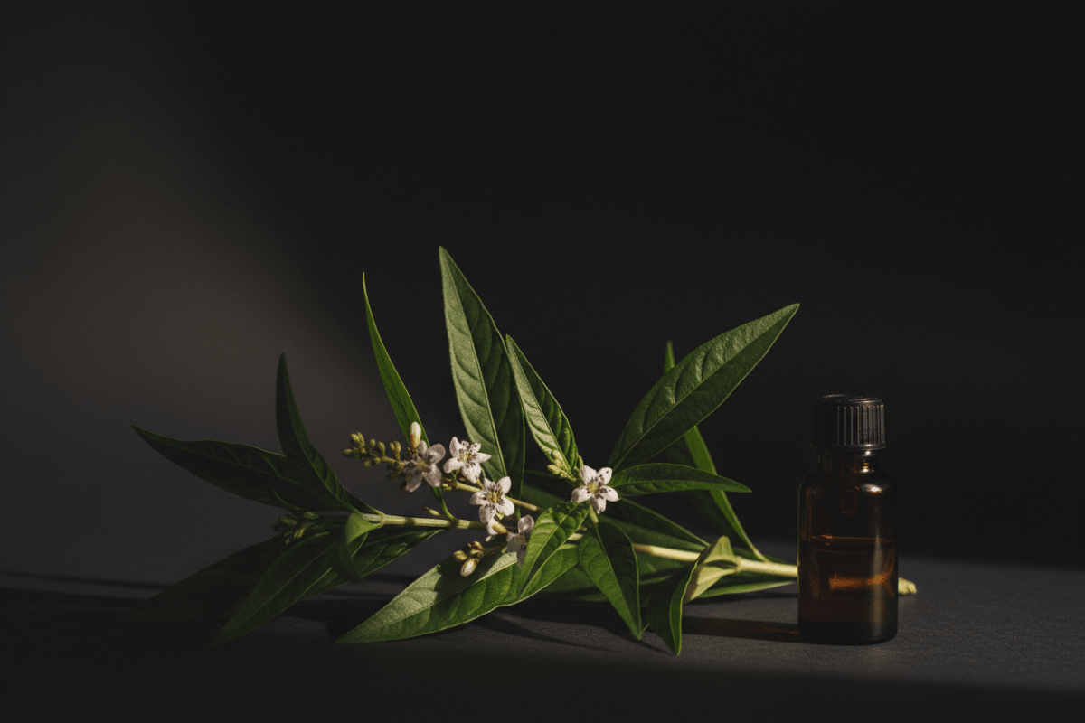 Andrographis — Viral Infections, Liver & Immune Support: What the Research Actually Shows - Futures ETC