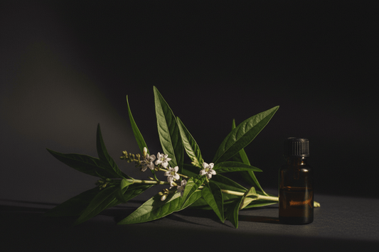 Andrographis — Viral Infections, Liver & Immune Support: What the Research Actually Shows - Futures ETC