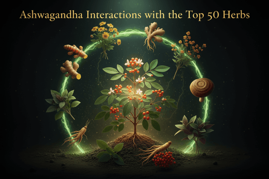 Ashwagandha Interactions with the Top 50 Herbs - Futures ETC