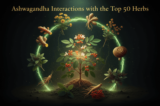 Ashwagandha Interactions with the Top 50 Herbs - Futures ETC