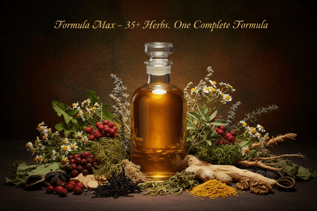 Formula Max – 35+ Herbs in One Bottle: How One Formula Supports Your Entire Body - Futures ETC