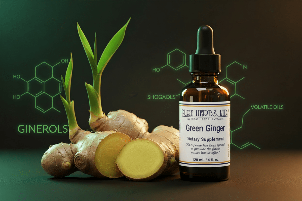 Green Ginger Phytochemistry & Physiology: Health Benefits, Mechanisms, and Tincture Bioavailability - Futures ETC