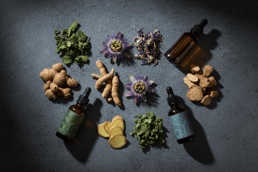 Herbs for Nervous System Support — Anxiety, Chronic Stress, Autonomic Dysregulation, IBS, and Vagal Tone - Futures ETC