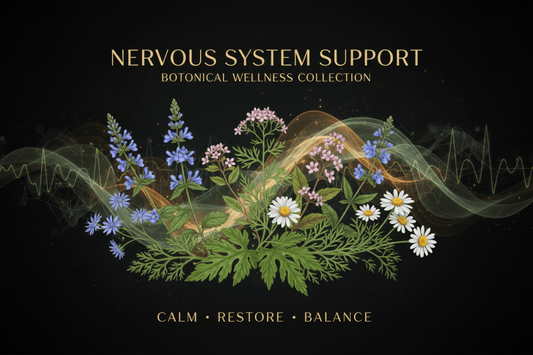 Herbs for Nervous System Support: How They Work in Harmony - Futures ETC