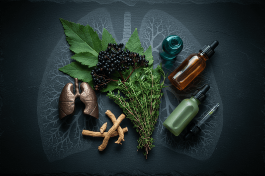 How the Respiratory System Works — Lung Anatomy, Mucosal Immunity, and the Herbs That Support Every Structure - Futures ETC
