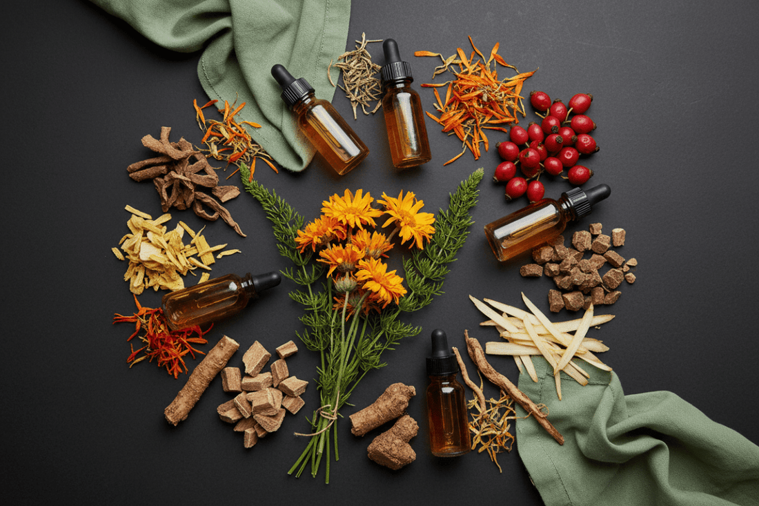 Nature's Integumentary System Support Guide: 10 Herbs for Skin, Hair & Nails - Futures ETC