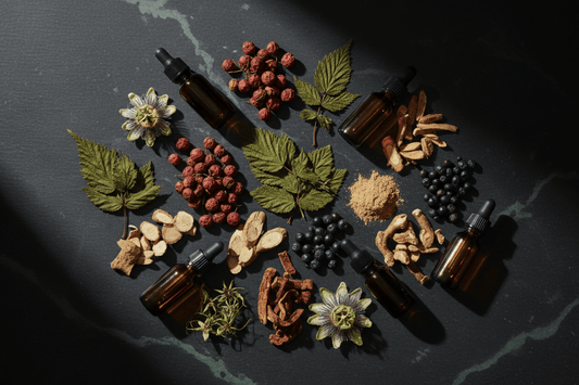 Nature's Reproductive System Support Guide: B–P Herbs for Hormonal & Sexual Health - Futures ETC
