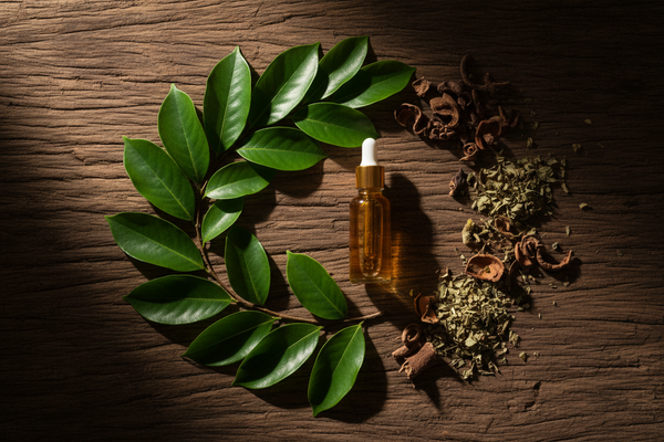 Herbs