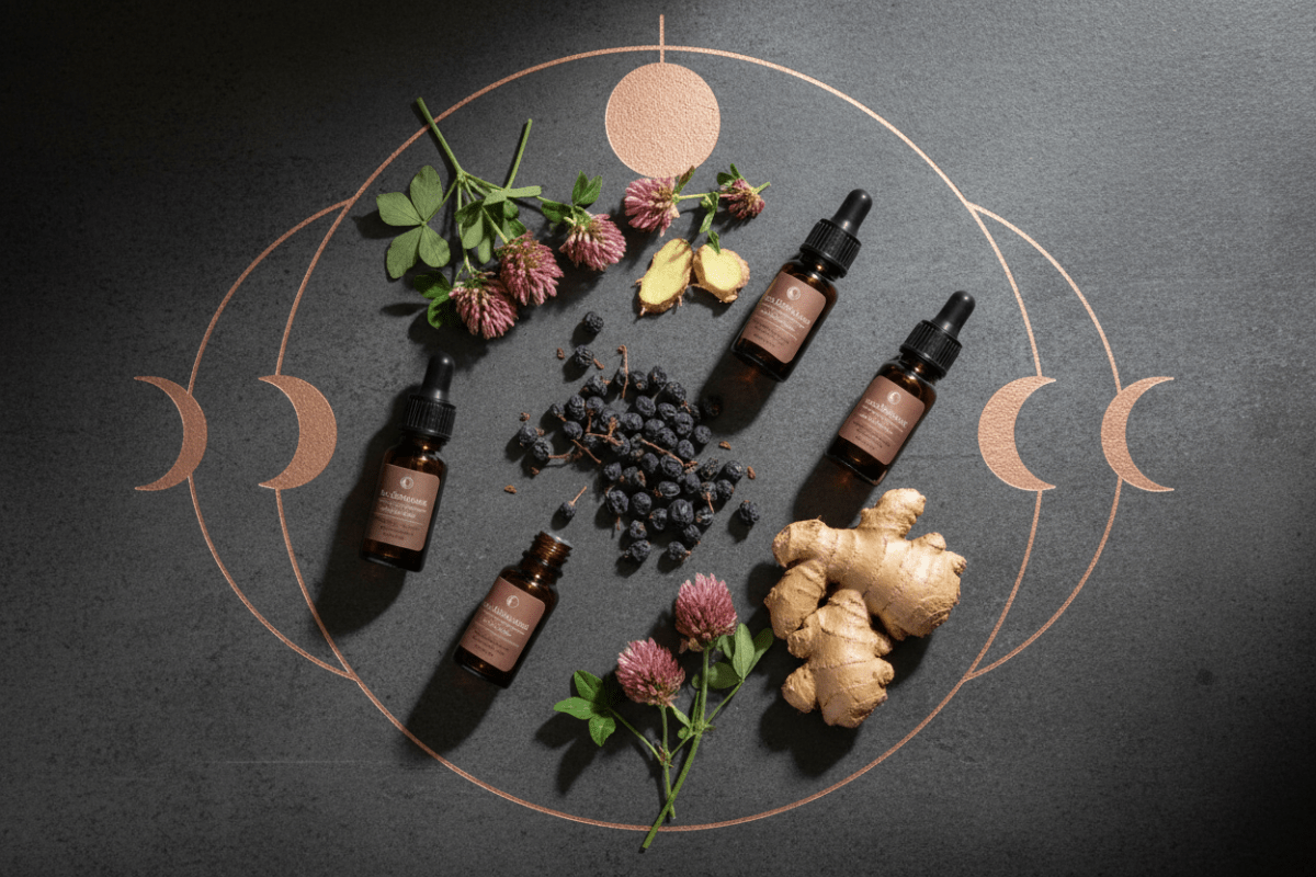 The Female Hormonal System Explained — Estrogen, Progesterone, the Menstrual Cycle, and the Herbs That Support Every Phase - Futures ETC