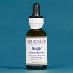 Ginger (Zingiber officinale)