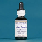 Indian Tobacco (Lobelia)