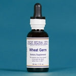 Wheat Germ (Triticum aestivum)