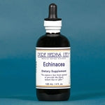 Echinacea