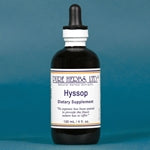 Hyssop (Hyssopus officinalis)