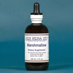 Marshmallow (Althaea officinalis)