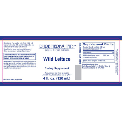 Wild Lettuce (Lactuca)