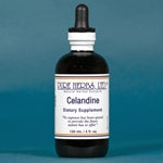 Celandine (Chelidonium majus) for Liver Detox, Digestive & Skin Health