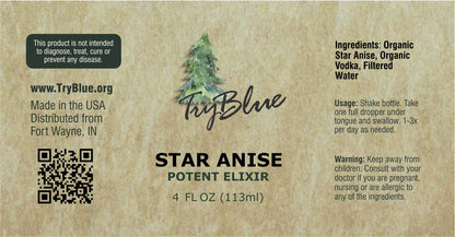 Star Anise (Illicium verum)