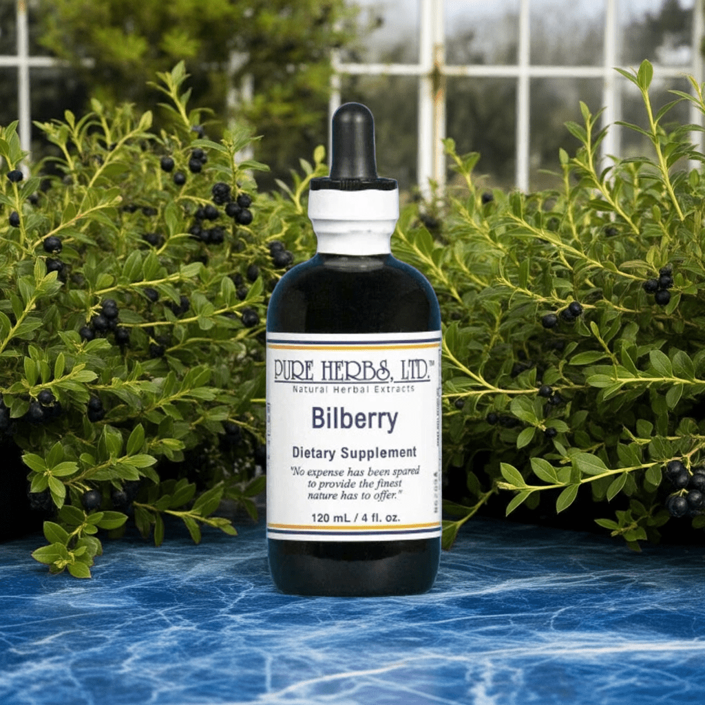 Bilberry (Vaccinium myrtillus) – Vision, Cognitive & Circulatory Support