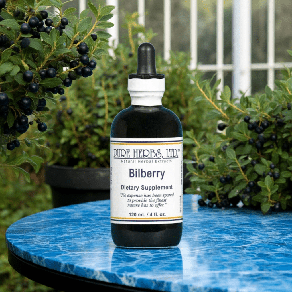 Bilberry (Vaccinium myrtillus) – Vision, Cognitive & Circulatory Support
