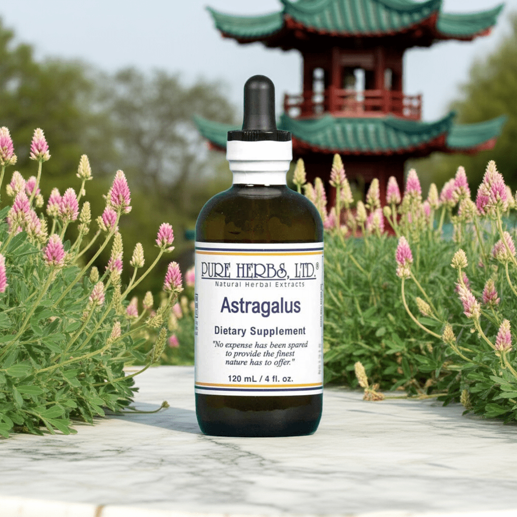 Astragalus Huáng Qi (Astragalus membranaceus) - Futures ETC Tincture