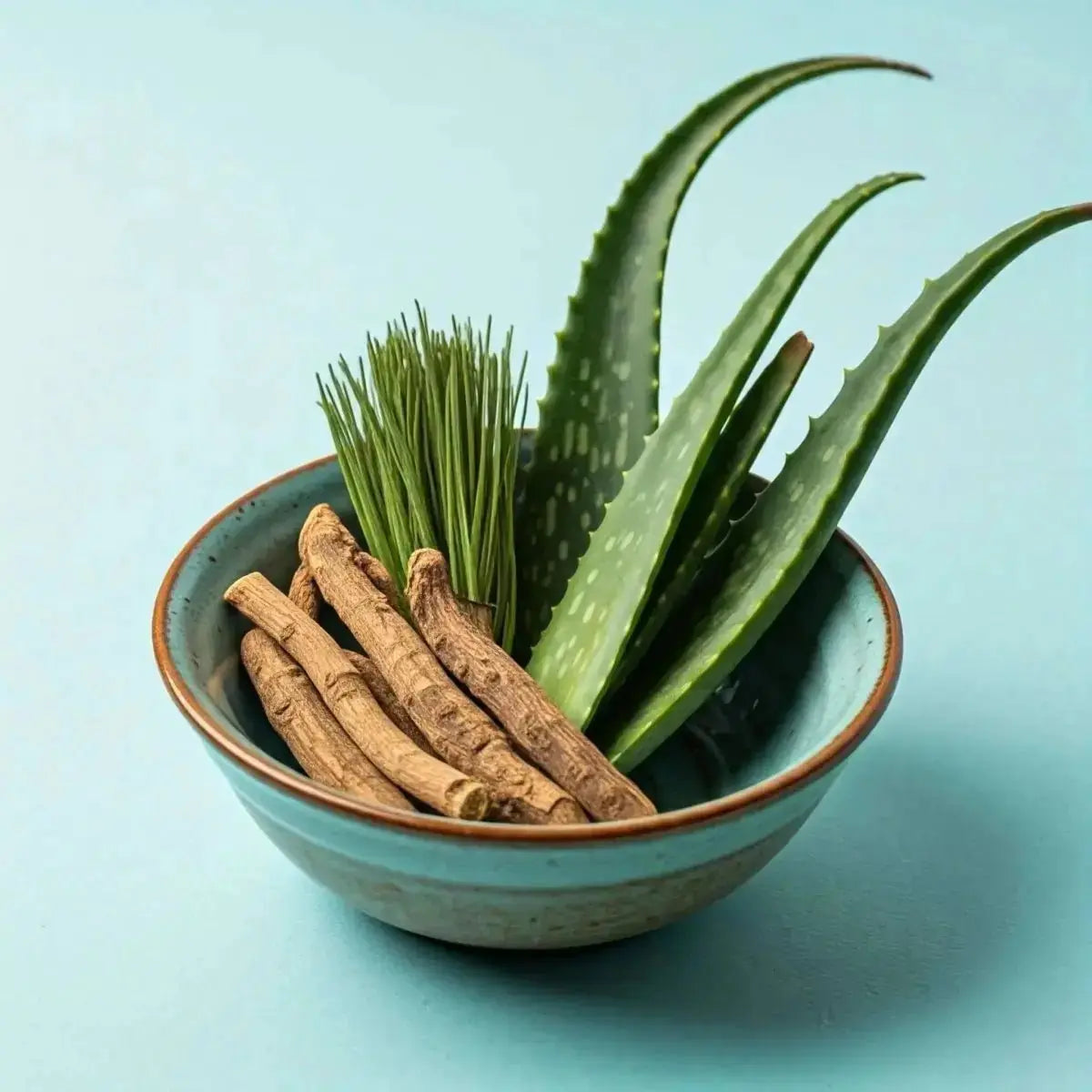ART - C (Reformulated) (Aloe, Devil's Claw, Horsetail, Licorice Root) - Futures ETC Tincture