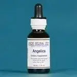 Angelica (Angelica archangelica) for Digestive, Respiratory & Stress Relief - Futures ETC Tincture