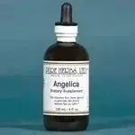 Angelica (Angelica archangelica) for Digestive, Respiratory & Stress Relief - Futures ETC Tincture