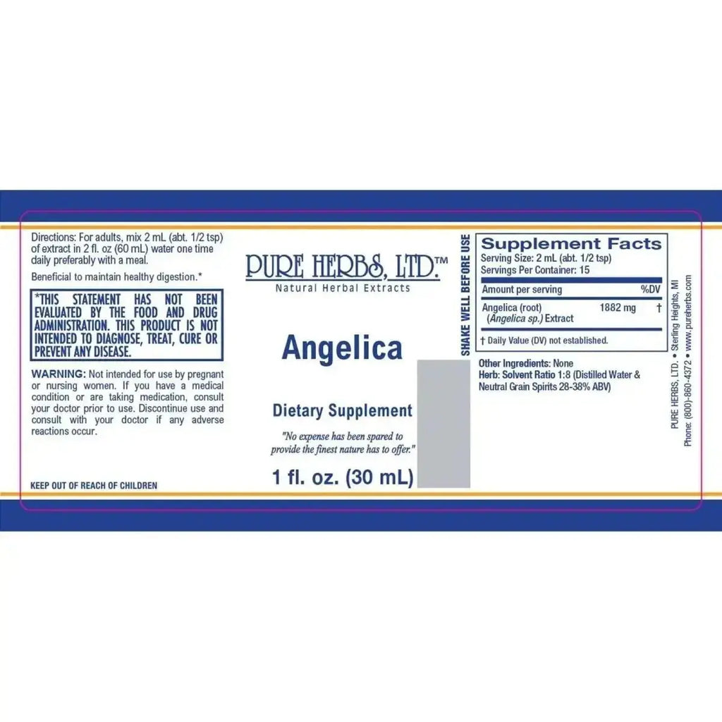 Angelica (Angelica archangelica) for Digestive, Respiratory & Stress Relief - Futures ETC Tincture