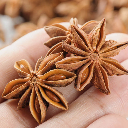 Star Anise (Illicium verum)