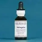 Astragalus Huáng Qi (Astragalus membranaceus) - Futures ETC Tincture