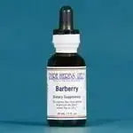 Barberry (Berberis vulgaris) - Futures ETC Tincture