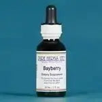 Bayberry (Myrica cerifera) - Futures ETC Tincture