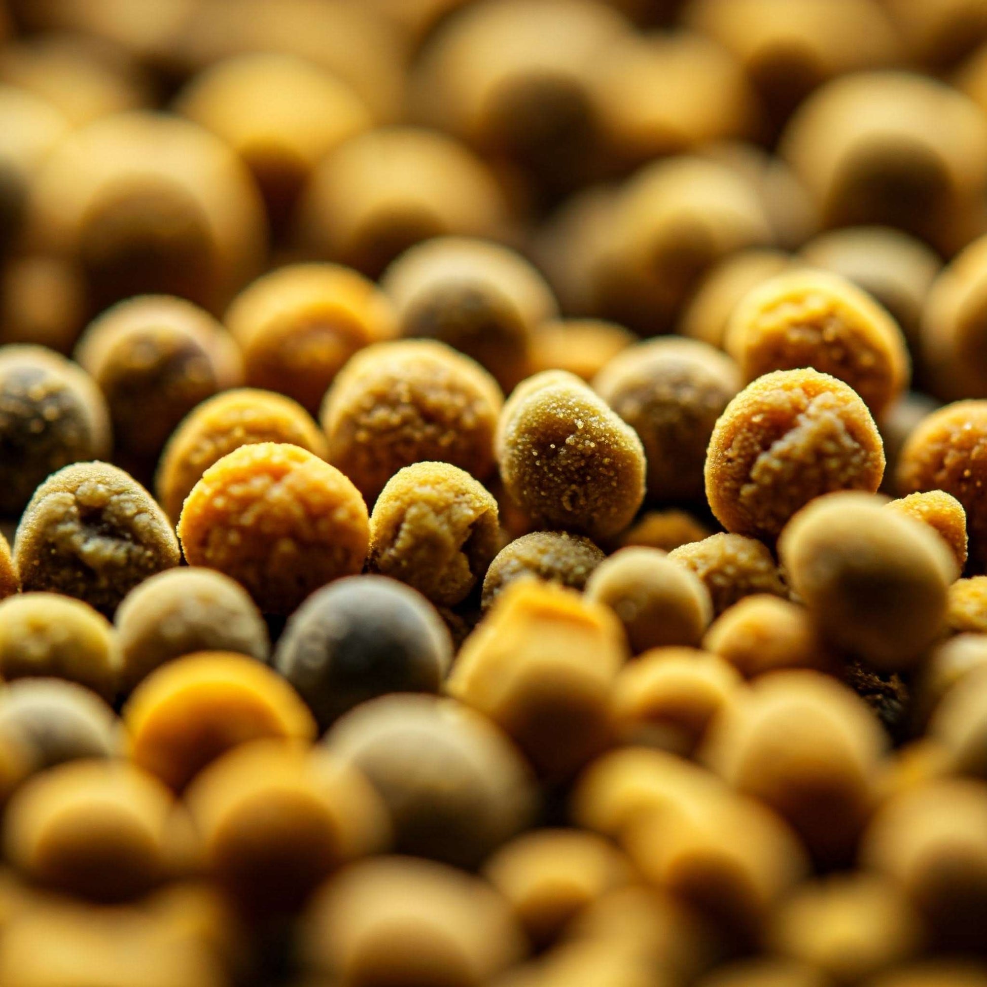 Bee Pollen (Xylocopa sonorina) A close-up image of a pile of small, round, golden-brown pellets. The pellets are tightly packed together, creating a textured surface.