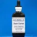 Black Currant (Ribes nigrum) - Futures ETC Tincture