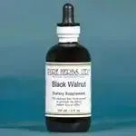 Black Walnut Hulls (Juglans nigra) - Futures ETC Tincture