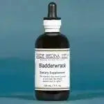 Bladderwrack (Fucus vesiculosus) - Futures ETC Tincture