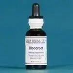 Blood Root [Red Root] (Sanguinaria canadensis) - Futures ETC Tincture
