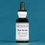 Blue Vervain (Verbena hastata) - Futures ETC Tincture