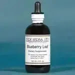 Blueberry Leaf (Vaccinium myrtilloides) - Futures ETC Tincture