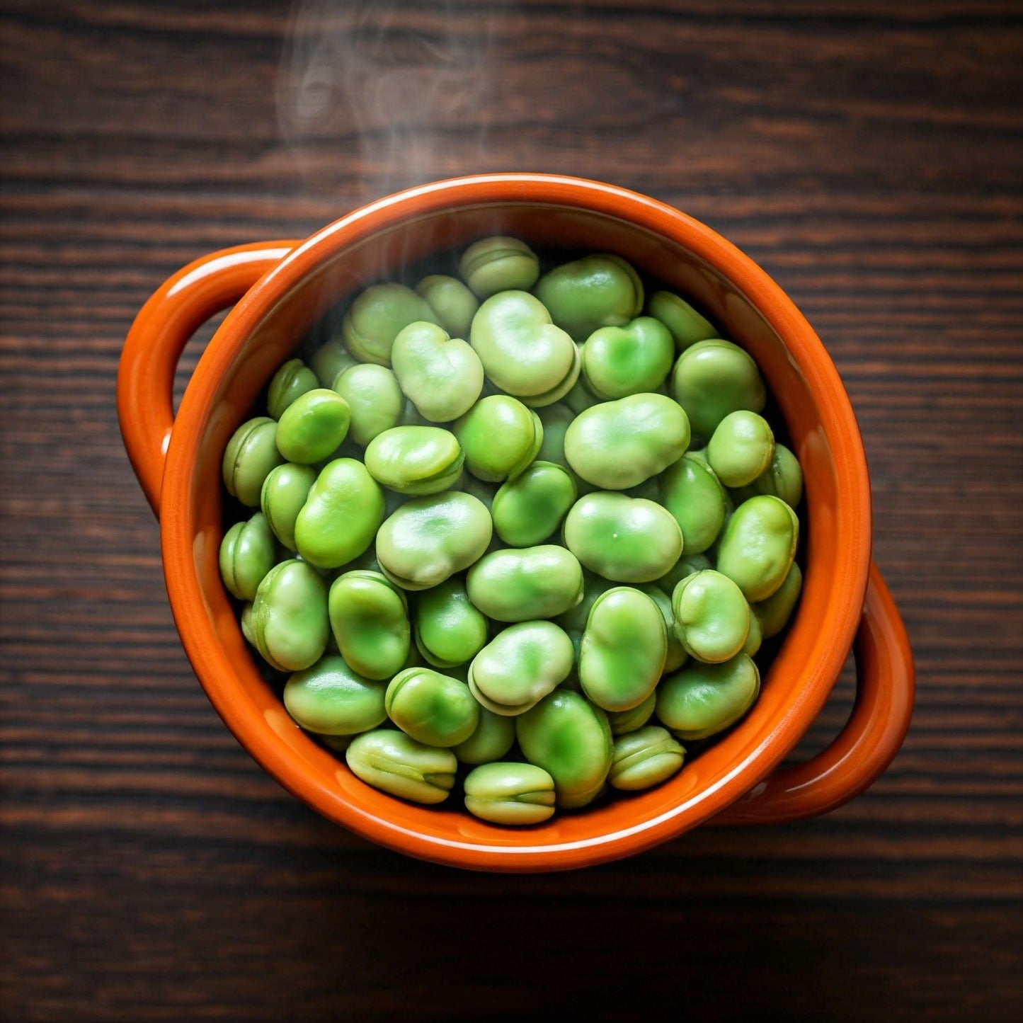 Broad Beans (Phaseolus)