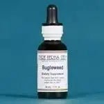 Bugleweed (Lycopus americanus) - Futures ETC Tincture
