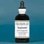 Bugleweed (Lycopus americanus) - Futures ETC Tincture