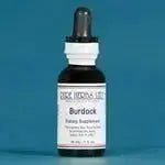 Burdock (genus Arctium) - Futures ETC Tincture