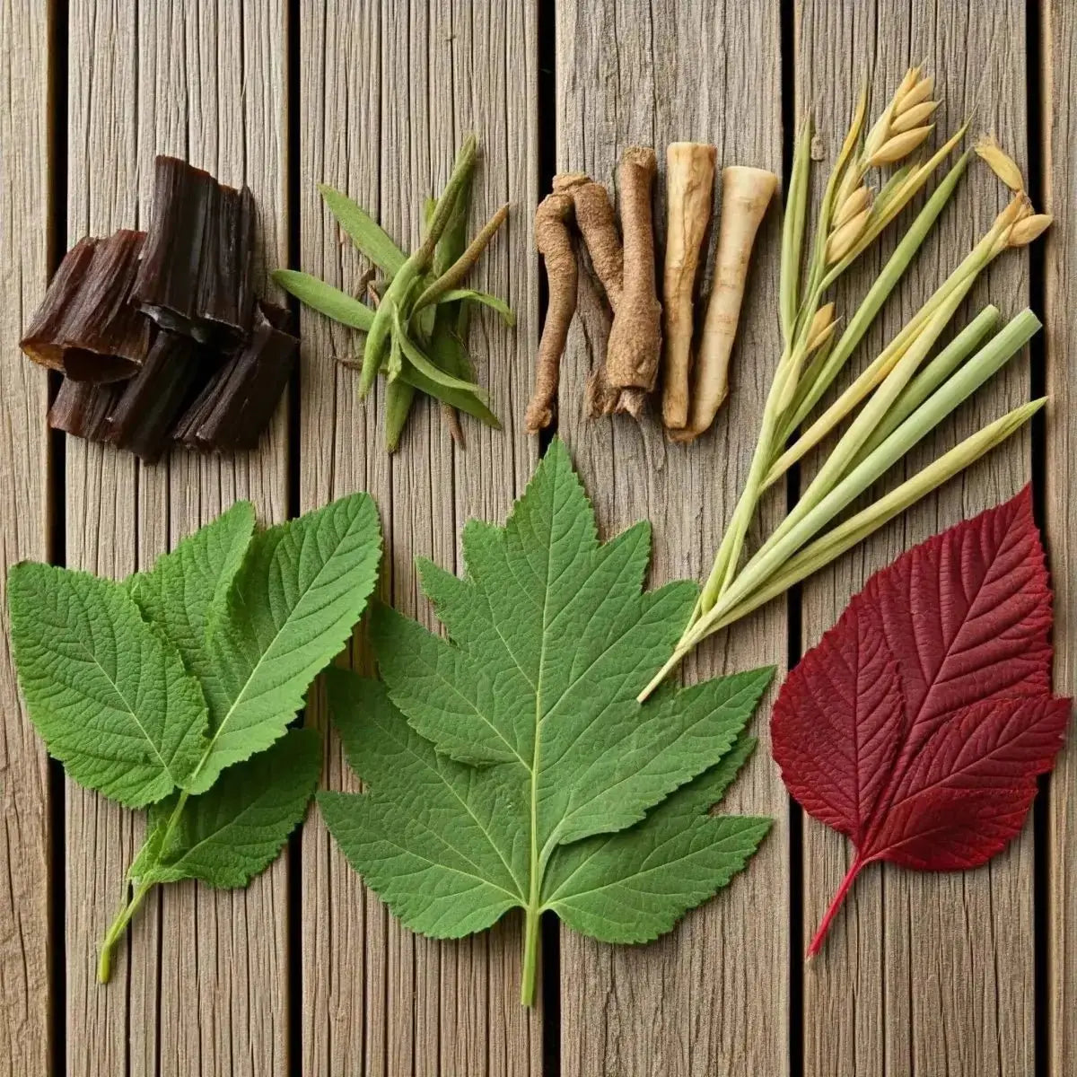 CA - W (Dulse, Horsetail, Indian Tobacco, Marshmallow, Mullein Leaf, Oat Straw, Red Raspberry Leaf) - Futures ETC Tincture