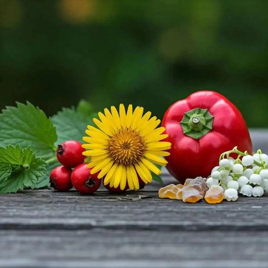 CS - W (Blessed Thistle, Capsicum, HT Combination [Hawthorn, Motherwort, Myrrh], Lily of the Valley) - Futures ETC Tincture