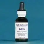 Catnip (Nepata cataria) - Futures ETC Tincture