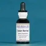 Cedar Berries (Juniperus) for Kidney, Digestive & Immune Support - Futures ETC Tincture